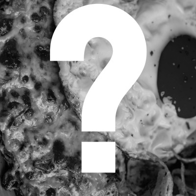 JOKER OMELETTE JOKER OMELETTE