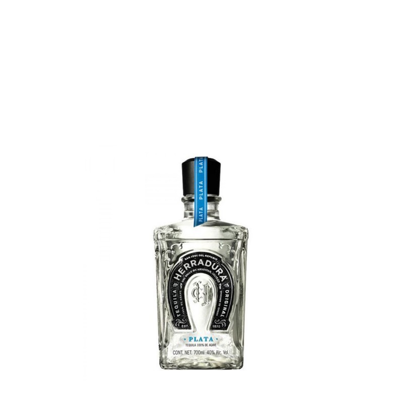 HERRADURA PLATA